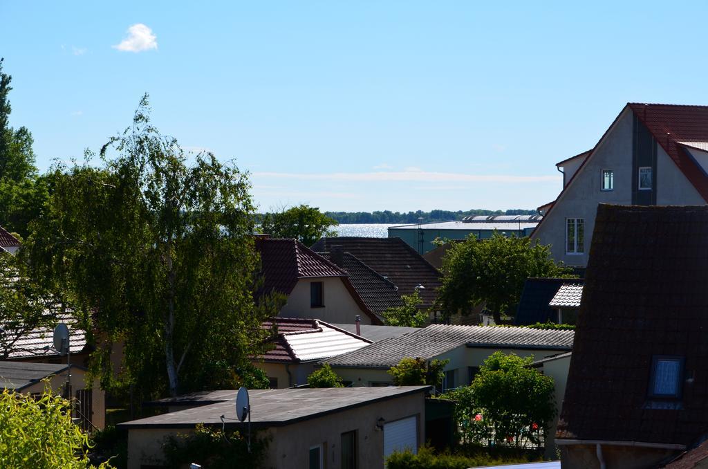 Loui´s Wiek *
